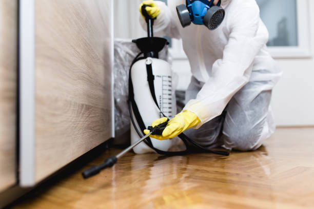 Best Best Pest Control Companies  in Green River, WY