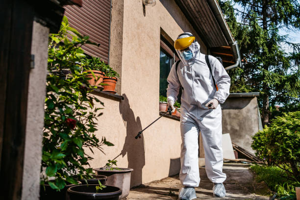 Best Termite Control Services  in Green River, WY