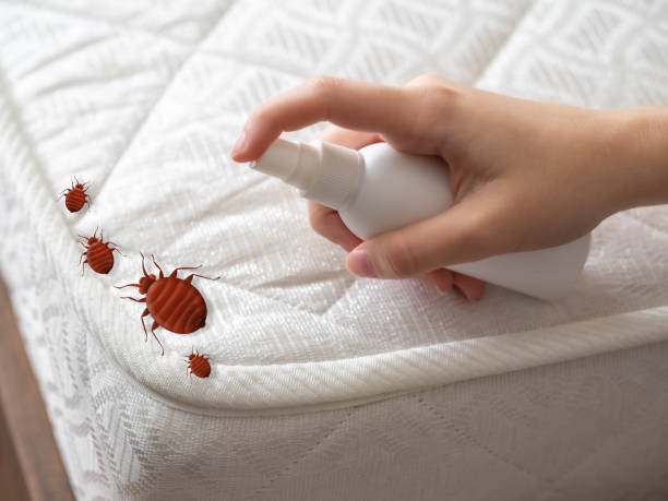Best Commercial Pest Control Services  in Green River, WY