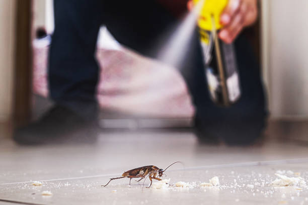 Best Cockroach Control Services  in Green River, WY